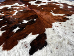 Exotic Tricolor Cowhide Rug