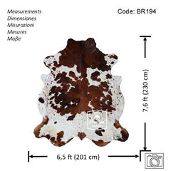 Exotic Tricolor Cowhide Rug