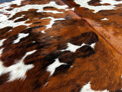 Exotic Tricolor Cowhide Rug