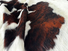 Tricolor Cowhide Rug
