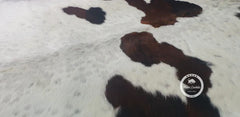 Tricolor Cowhide Rug