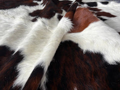 Tricolor Cowhide Rug