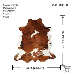 Tricolor Cowhide Rug