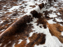 Tricolor Cowhide Rug