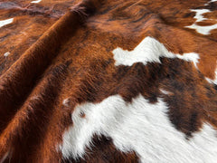 Tricolor Cowhide Rug