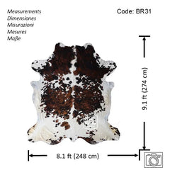 Exotic Tricolor Cowhide Rug