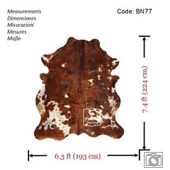 Tricolor Cowhide Rug