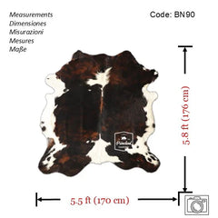 Tricolor Cowhide Rug