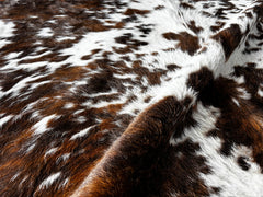 Tricolor Cowhide Rug