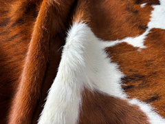 Tricolor Cowhide Rug
