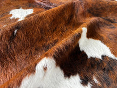 Tricolor Cowhide Rug