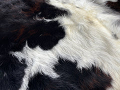 Tricolor Cowhide Rug