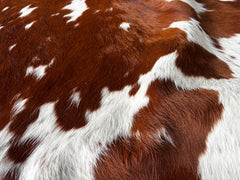Brown and White Cowhide Rug