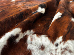 Tricolor Cowhide Rug