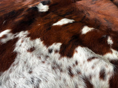 Tricolor Cowhide Rug