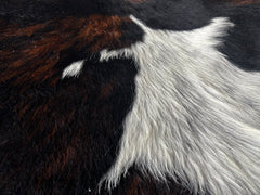 Tricolor Cowhide Rug