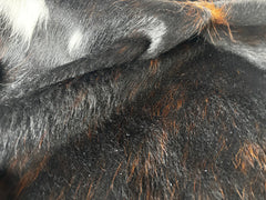 Tricolor Cowhide Rug