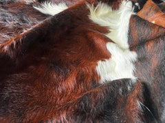 Tricolor Cowhide Rug