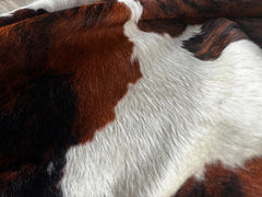 Tricolor Cowhide Rug