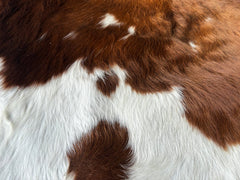 Brown and White Cowhide Rug