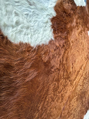 Brown and White Cowhide Rug