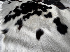 Tricolor Cowhide Rug