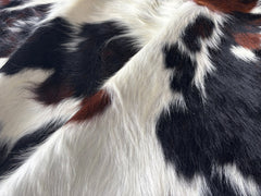 Tricolor Cowhide Rug