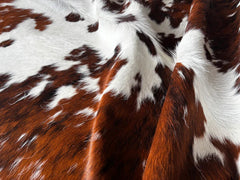 Tricolor Cowhide Rug