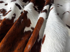 Tricolor Cowhide Rug