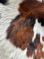 Tricolor Cowhide Rug