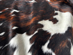 Tricolor Cowhide Rug