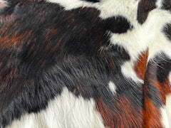 Tricolor Cowhide Rug