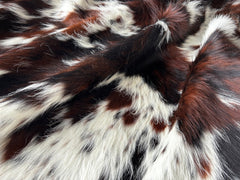 Exotic Tricolor Cowhide Rug