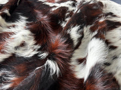 Exotic Tricolor Cowhide Rug