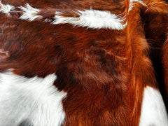 Tricolor Cowhide Rug