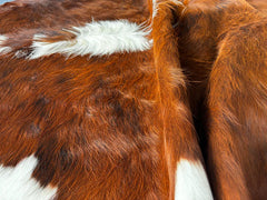 Tricolor Cowhide Rug