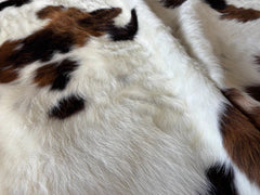 Tricolor Cowhide Rug