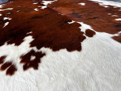 Tricolor Cowhide Rug