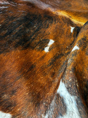 Tricolor Cowhide Rug