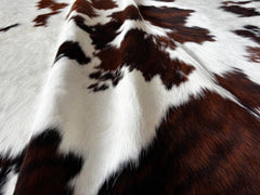 Tricolor Cowhide Rug