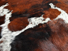 Exotic Tricolor Cowhide Rug