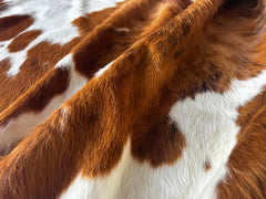 Tricolor Cowhide Rug