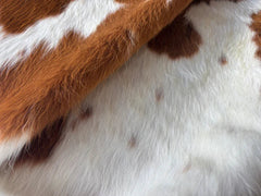 Tricolor Cowhide Rug