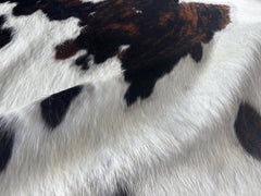 Tricolor Cowhide Rug