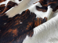 Tricolor Cowhide Rug