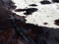 Tricolor Cowhide Rug