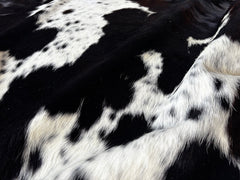 Tricolor Cowhide Rug