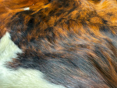 Tricolor Cowhide Rug