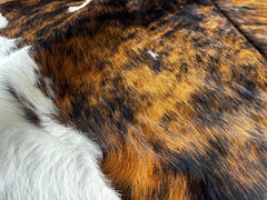 Tricolor Cowhide Rug