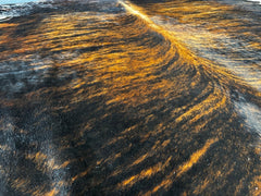 Exotic Brindle Cowhide Rug ,